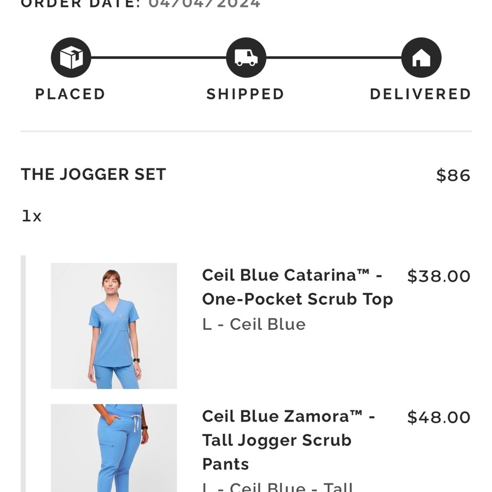 Ceil Blue Figs Scrubs set -Large
